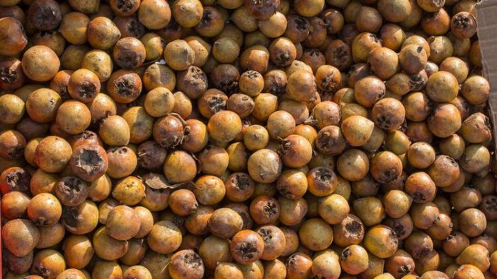 Muşmula nelere faydalı?