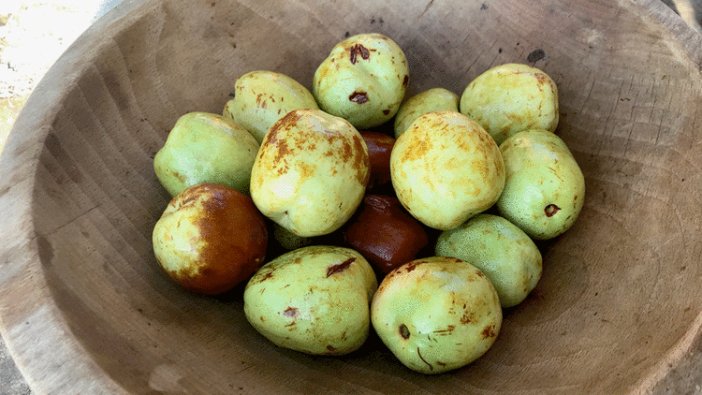 Kolesterolü bitiriyor, damardaki yağı söküp alıyor