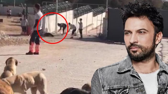Tarkan'dan sert tepki! "Görüntüleri izleyemedim"