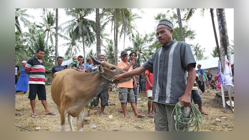 Türk STK'lardan ihtiyaç sahibi ailelere kurban yardımı