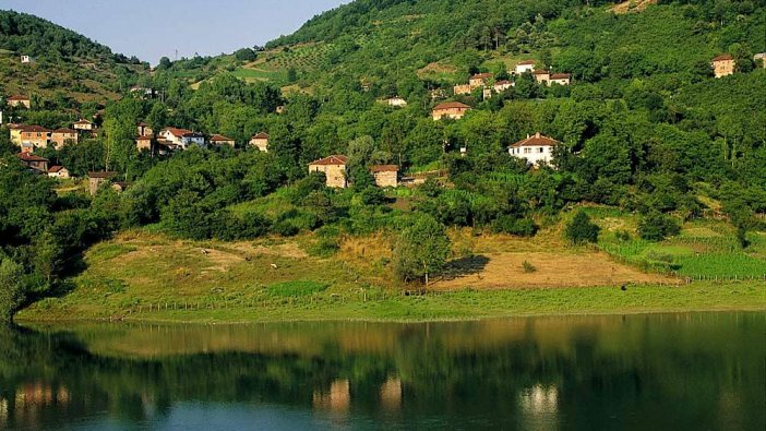 Düzce'de icradan satılık fındık bahçesi