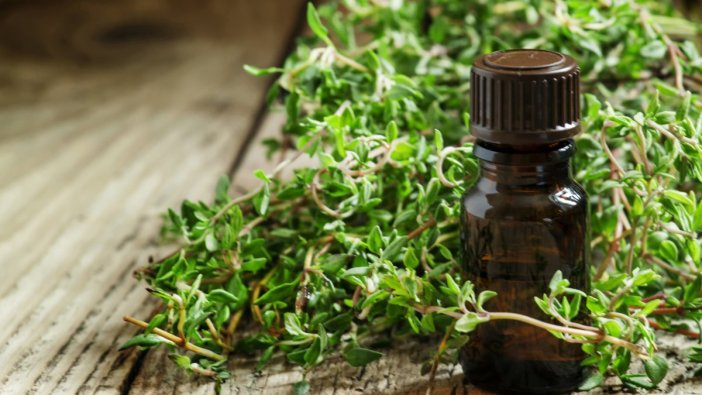 Zihni açan beyni güçlendiren besinler hangileri?