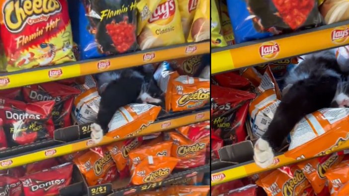Cips paketlerinden fare çıkmasın diye alınan önlem güldürdü