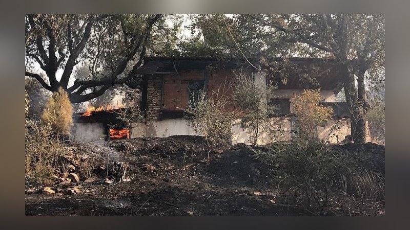 Muğla'da orman yangını