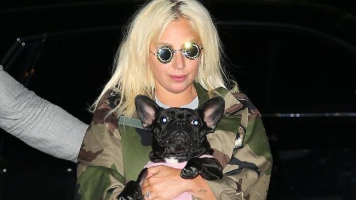 Lady Gaga’nın köpeklerini kaçıran saldırgana şok hapis cezası.
