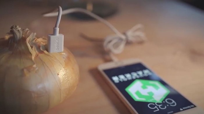 Binlerce kez izlendi: Telefonunu soğanla şarj ediyor!