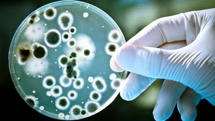 Dünya yeni virüsle karşı karşıya: 3 kişi hayatını kaybetti