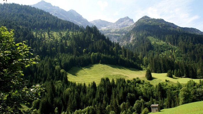 5 ilde bazı alanlar orman sınırından çıkarılıyor