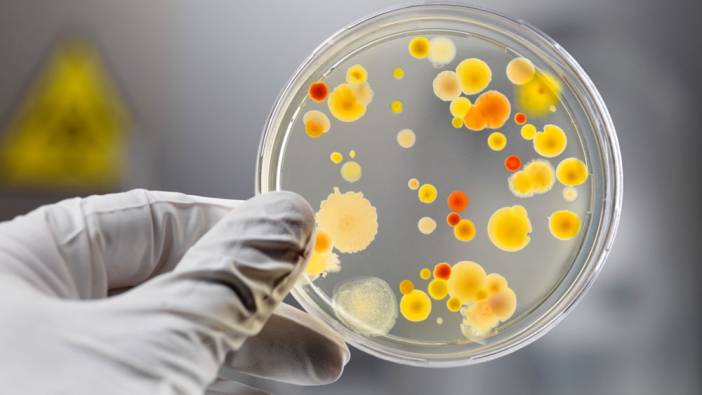 Koronavirüs'te yeni salgın: En çok çocukları etkiliyor!