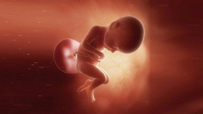 Karnındaki parazit kardeşi çıktı: Fetüs içinde fetüs!