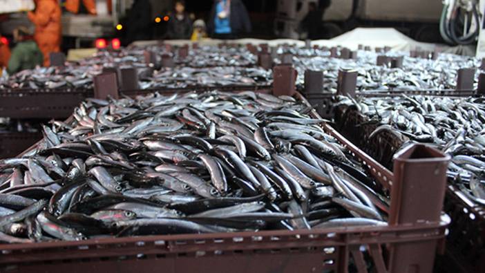 Fırtına hamsi fiyatlarını vurdu: Son ayların en pahalısı!