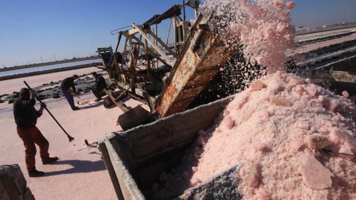 Tuzlu su üretim tesisinde insan kalbi bulundu