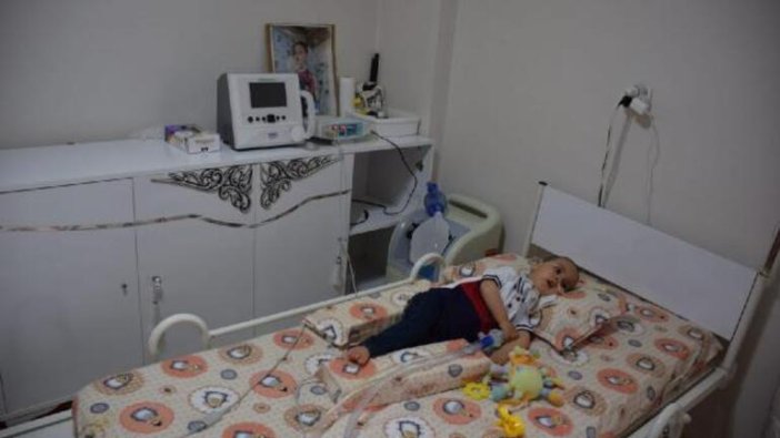 Vay vicdansız vay! SMA’lı bebeğin bağış kumbarasını çaldı