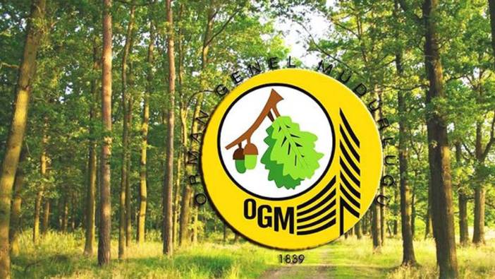 Orman Genel Müdürlüğü 249 mühendis alacak