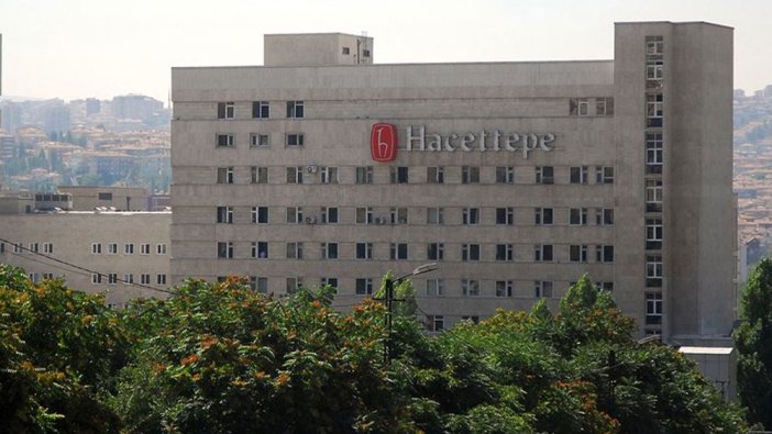 Hacettepe Üniversitesi 2 bilişim personeli alacak