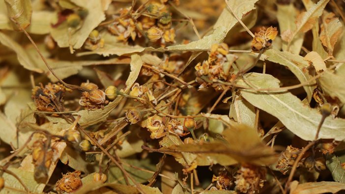 Bu kış sert geçecek: Kilosu 400 TL oldu