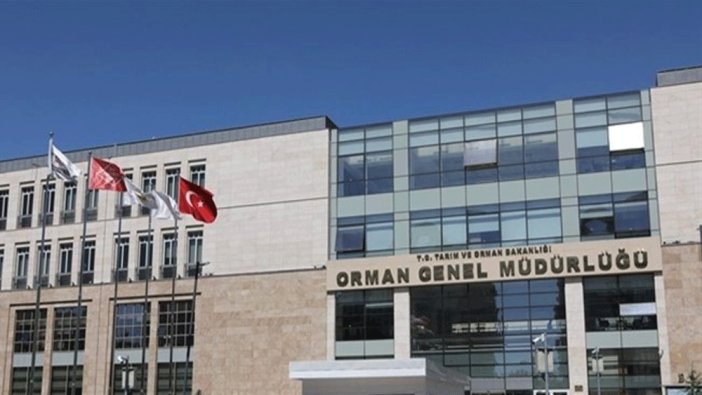 Orman Genel Müdürlüğü 224 Engelli ve Eski Hükümlü işçi alacak