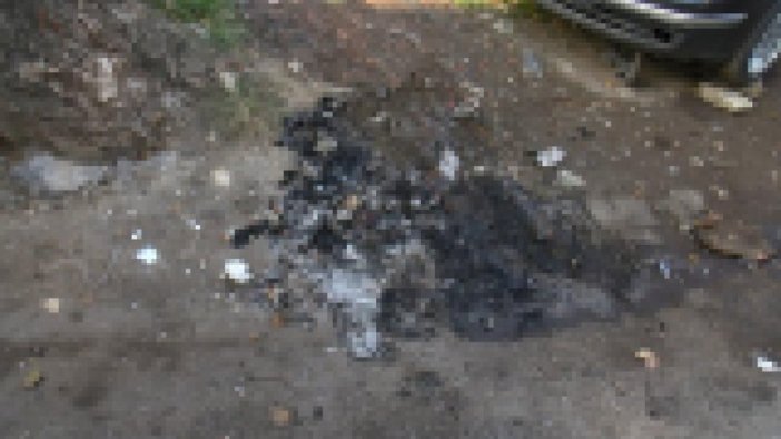 Bunun adı vahşet: Köpeği yakarak öldürdüler