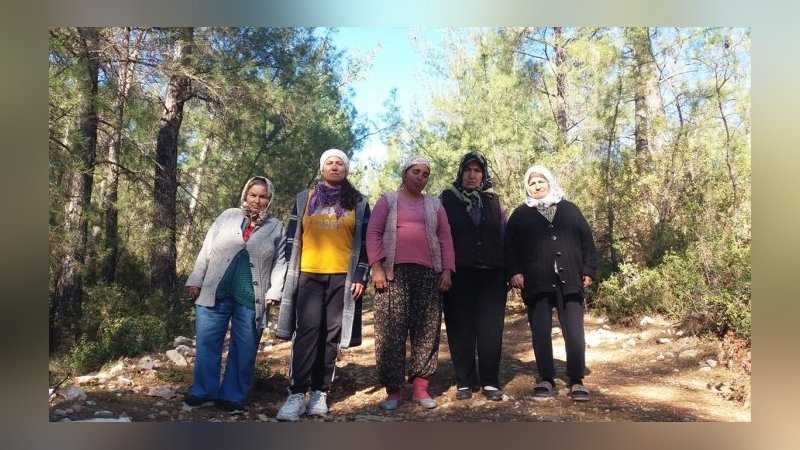 İkizköylü kadınlardan ‘ağaç’ nöbeti