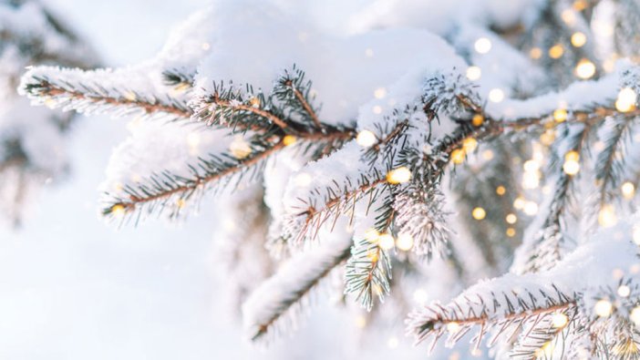 Türkiye yeni yıla nasıl uyanacak? İşte il il hava durumu