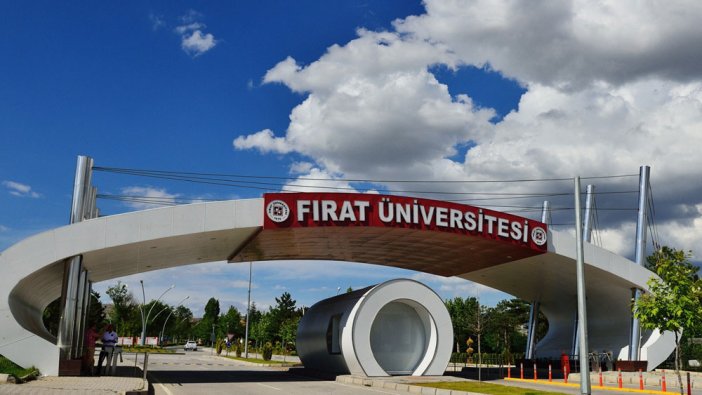 Fırat Üniversitesi 1 akademik personel alacak
