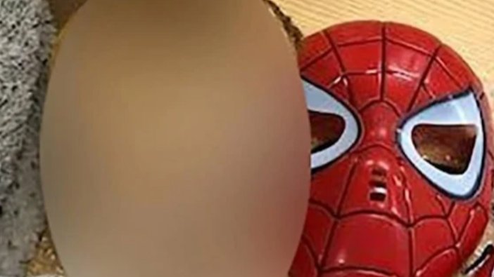 ABD'ye gönderilen kutudan kesik çocuk kafası çıktı