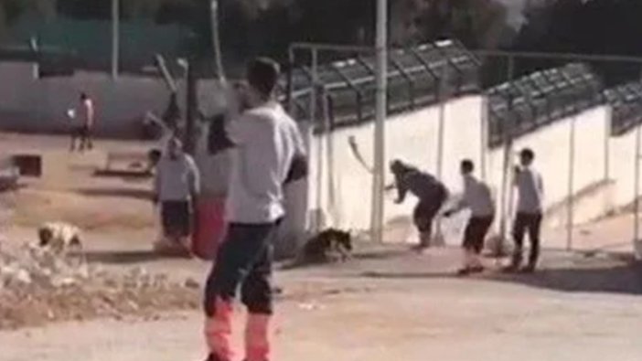 Konya’da barınak sanıkları tahliye edildi