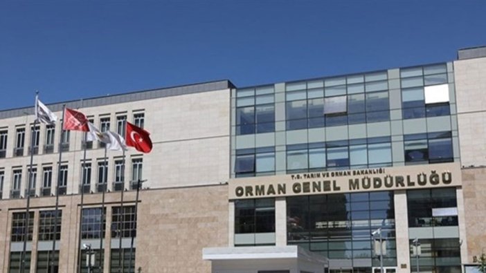 Orman Genel Müdürlüğü 109 sözleşmeli personel alacak