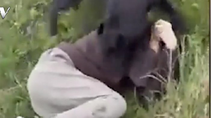 Küçük kızı rahatsız eden sapık köpeklerin gazabına uğradı