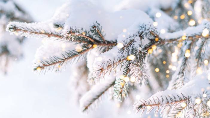 Meteoroloji'den 16 kente flaş uyarı: Kar kapıdan baktıracak