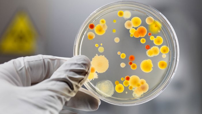 Uzman isim uyardı: Türkiye'de HIV virüsünde kritik artış yaşanıyor