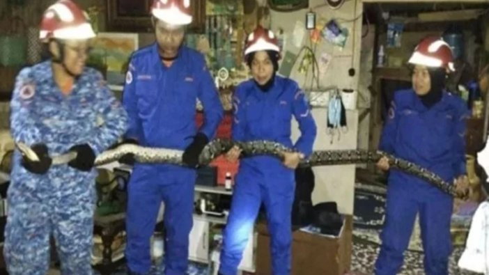 Tavan çöktü kafalarına dev yılan düştü