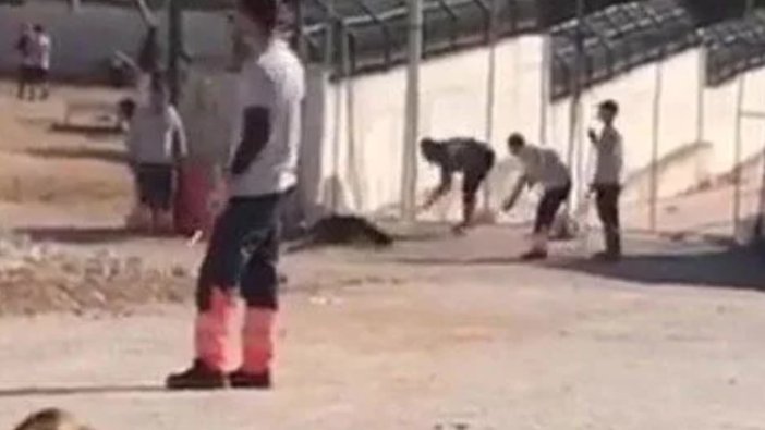 Barınak vahşetinin sanıklarının cezası belli oldu!