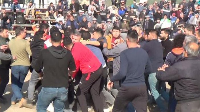 Bu sefer develer değil sahipleri güreşti: Kavgayı polis ayırdı