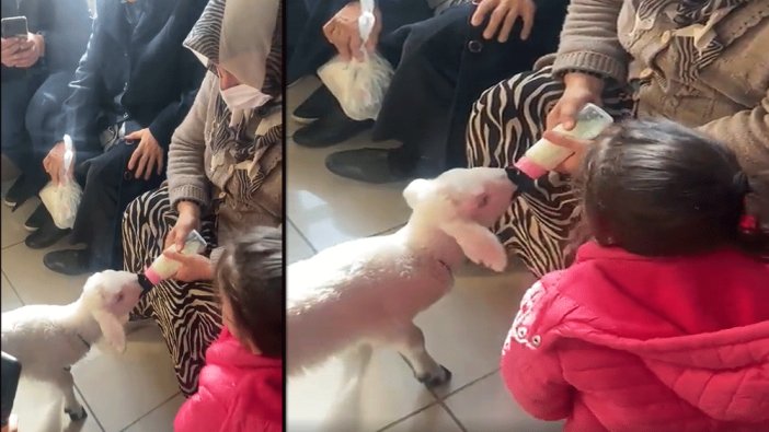 Hastaneye muayene olmaya kuzusuyla gitti