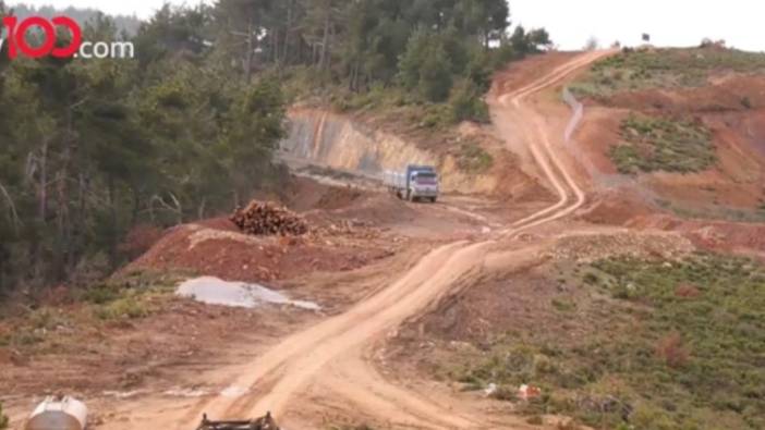 Türkiye’nin akciğerleri Kaz Dağları yok ediliyor!