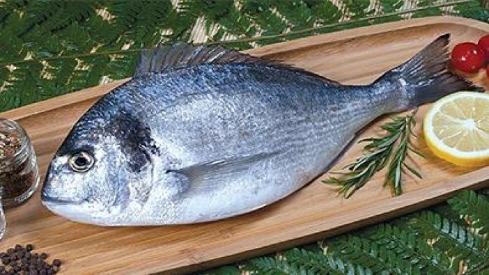 Samsun'da balık fiyatları