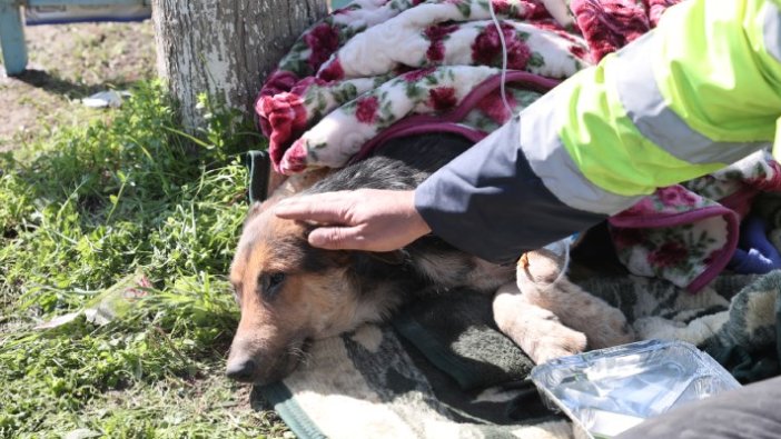 55 saat sonra enkazdan kurtarıldı