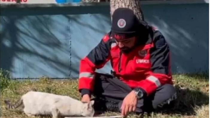 Öğle yemeğini depremzede kediyle paylaştı