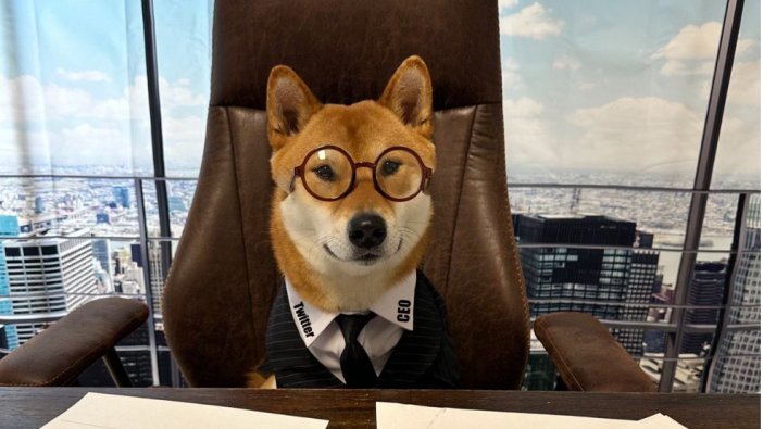 Elon Musk’ın yeni CEOsu, köpeği Floki