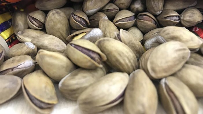 Antep fıstığı için lisanslı depo