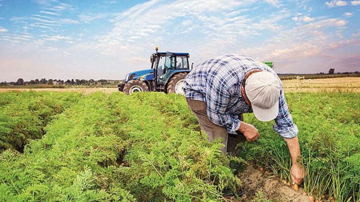 TMO duyurdu: 10 ilde ÇKS kota sınırı kaldırıldı