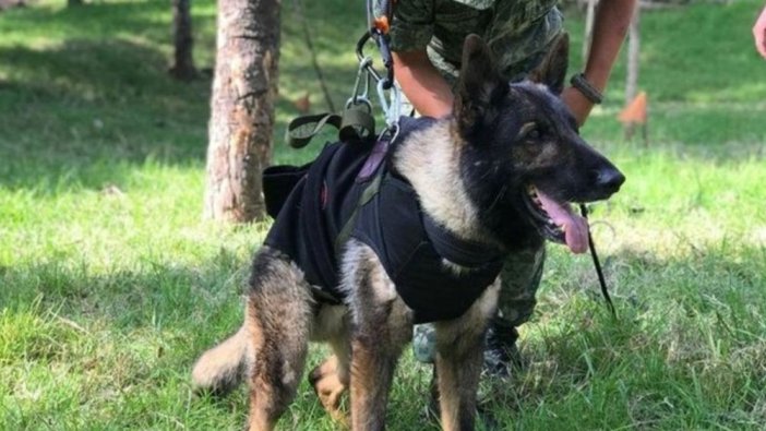 Proteo için Meksika'da tören düzenlendi