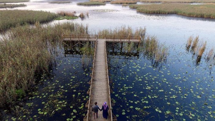 Efteni Kuş Cenneti drone ile görüntülendi