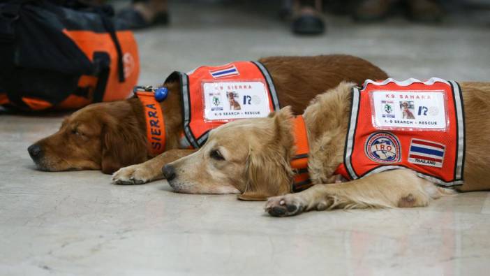 Enkaz altındaki yüzlerce cana umut oldular