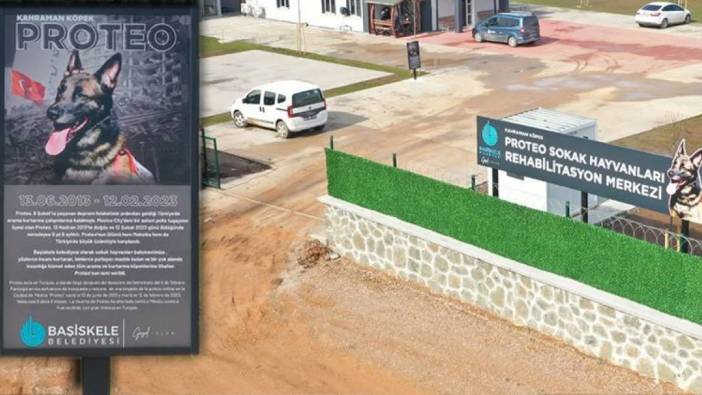 Proteo'nun adı sokak hayvanları merkezine verildi