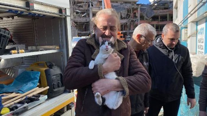 Galeria Sitesi'nde kurtarılan kedi sayısı 12'ye çıktı