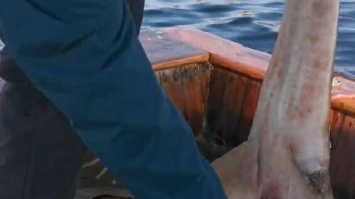 Oltaya takıldı teknede doğurdu