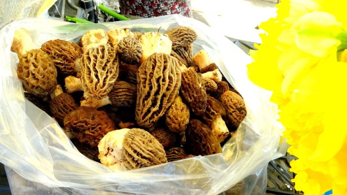 Kilosu bin liraya alıcı buluyor