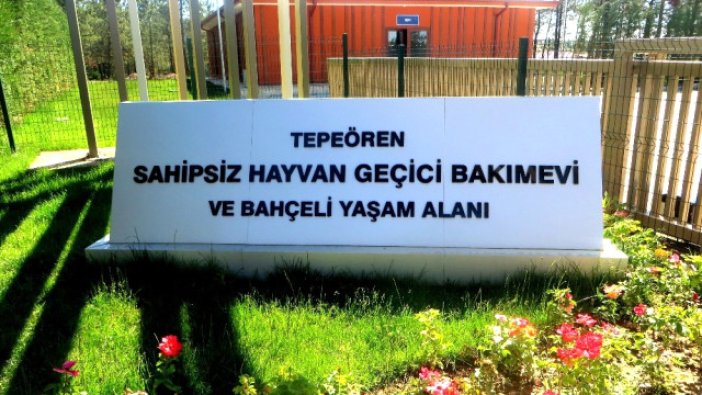 İstanbul’a yeni hayvan bakımevi ve gömü alanı